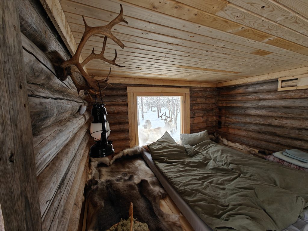 Inside the Kentura cabin, a small wilderness cabin. In the foreground, a reindeer antler serves as a coat rack, with mattresses and bedding stacked on reindeer skins. Through the window in the background, reindeer are peacefully eating hay.