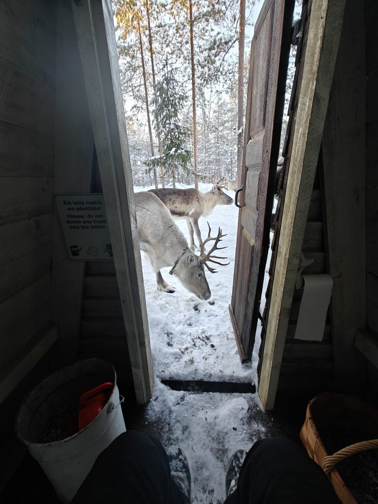 A view from the dry toilet door, looking outwards. The outhouse is situated next to the Kentura cabin, within the reindeer enclosure.