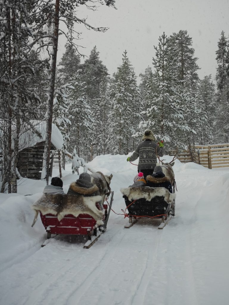 The Kentura Reindeer Farm A family of three on a reindeer sleigh ride, with the reindeer owner guiding the reindeer through a snowy landscape back to the family’s homestead.