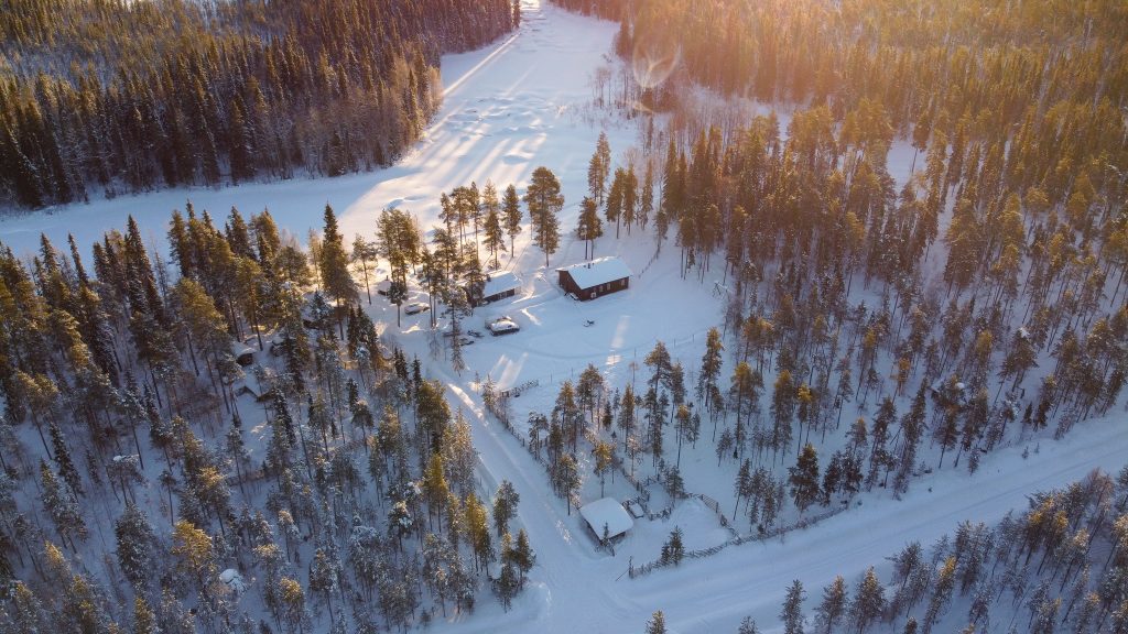 The Kentura Reindeer Farm An aerial view of our homestead, showcasing a beautiful, sunny landscape with a mix of coniferous and deciduous trees, and plenty of snow. In the center of the image, you can see the main house, accommodation cabins, and reindeer enclosures.