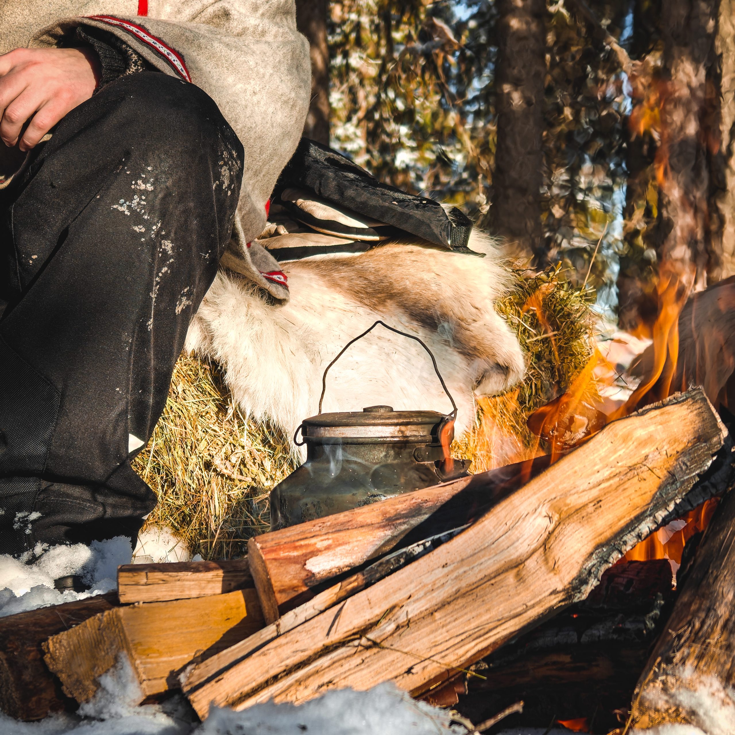 The Kentura Reindeer Farm A traditional Lapland campfire with water boiling in a soot-blackened kettle. In the background, a reindeer herder sits on top of a hay bale and reindeer skin, enjoying the sunny weather.
