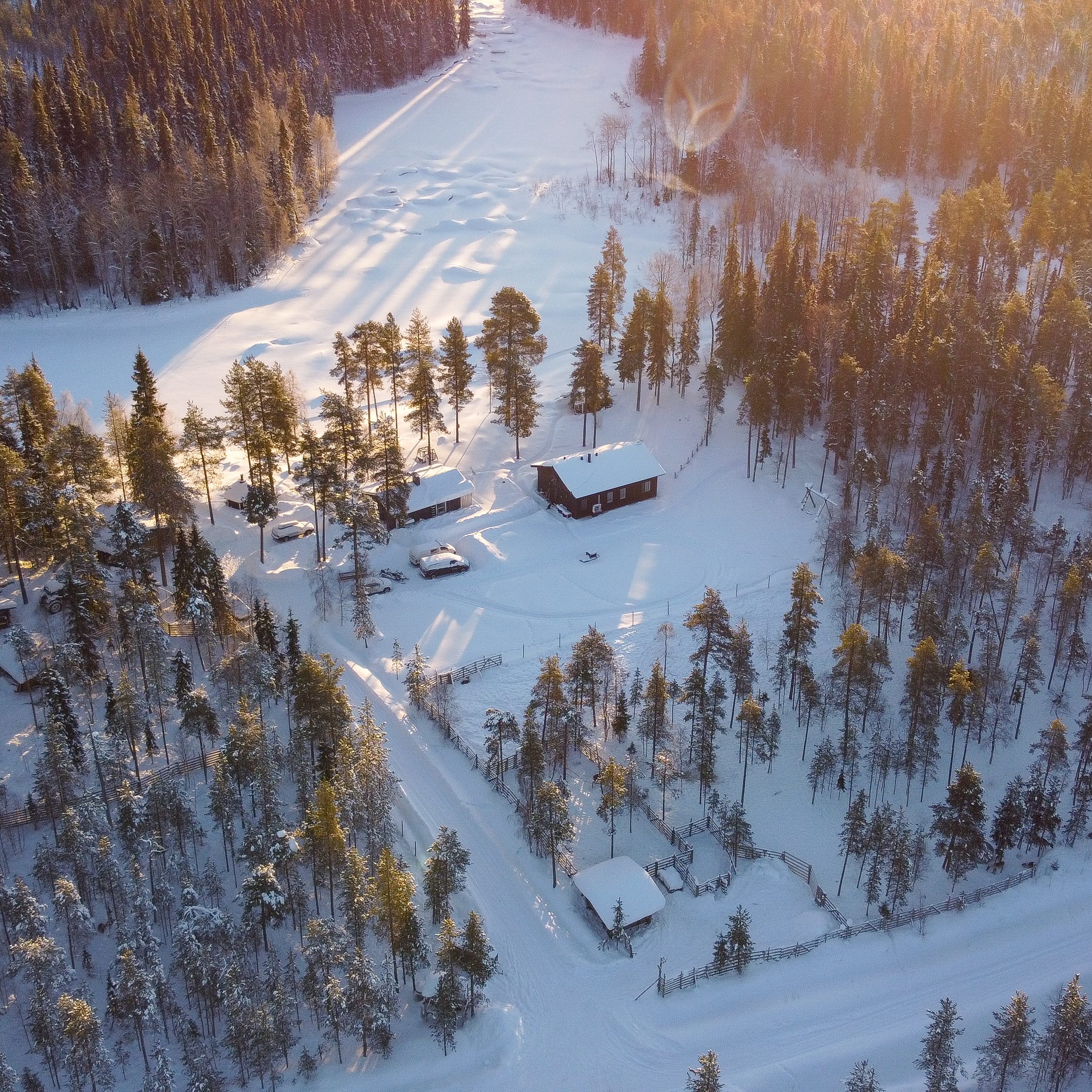 The Kentura Reindeer Farm An aerial view of our homestead, showcasing a beautiful, sunny landscape with a mix of coniferous and deciduous trees, and plenty of snow. In the center of the image, you can see the main house, accommodation cabins, and reindeer enclosures.